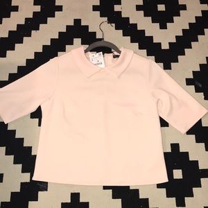 Zara Pink Peterpan Collar Crop Top